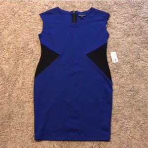 Forever 21+ Royal Blue and Black Above Knee Dress